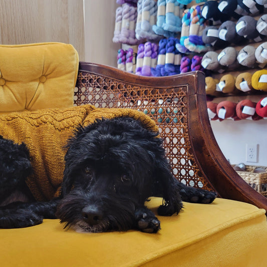 Custom Knitted Pet Sweater