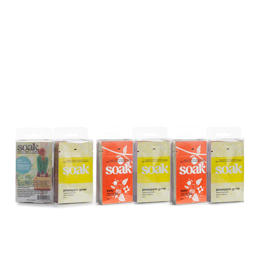 Soak Laundry Soap Travel Set